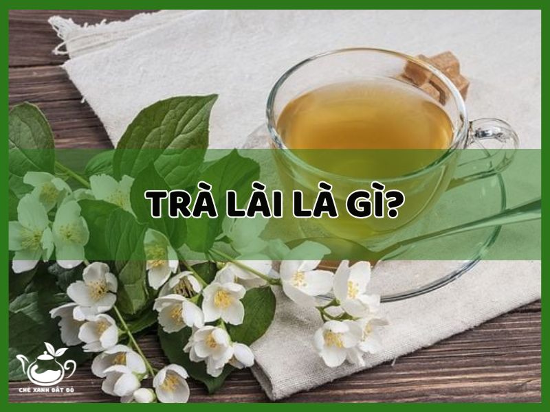trà lài là gì