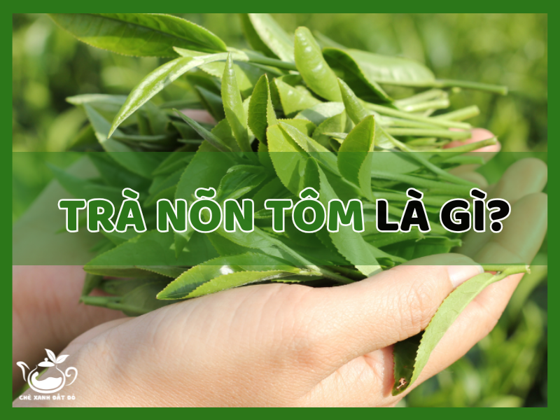 Trà nõn tôm là gì