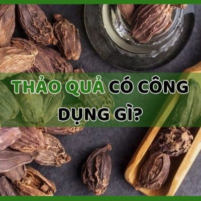 thảo quả có công dụng gì