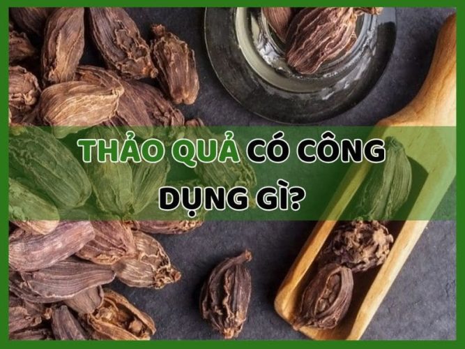 thảo quả có công dụng gì