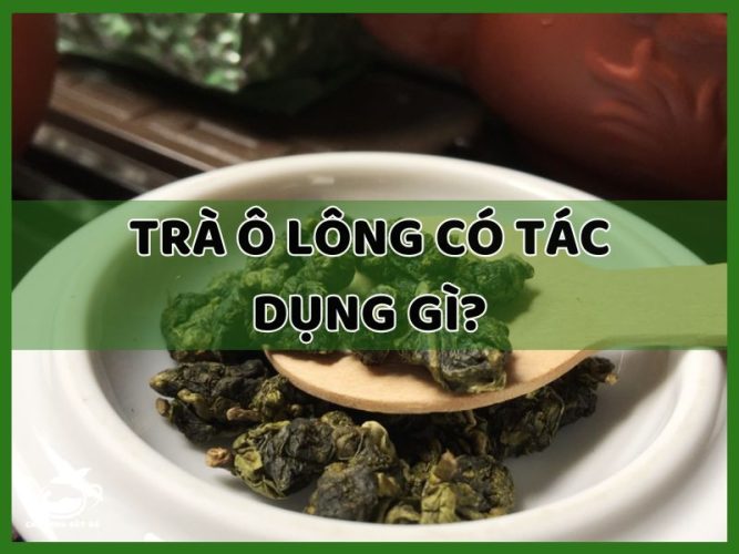 trà ô lông có tác dụng gì