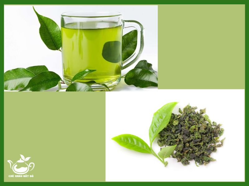 chè tươi hay chè khô tốt hơn