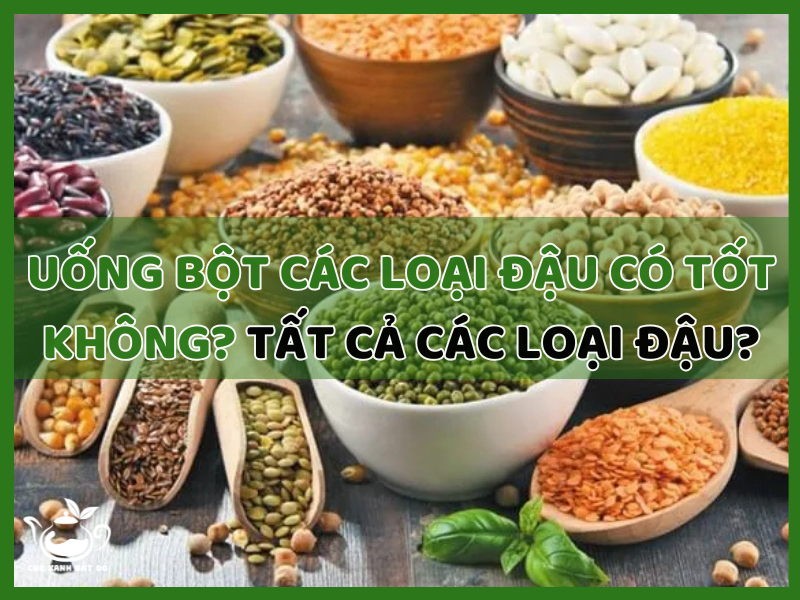 uống bột các loại đậu có tốt không