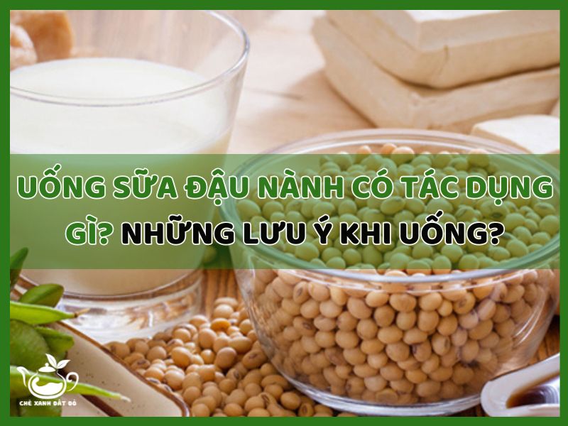 Uống sữa đậu nành có tác dụng gì