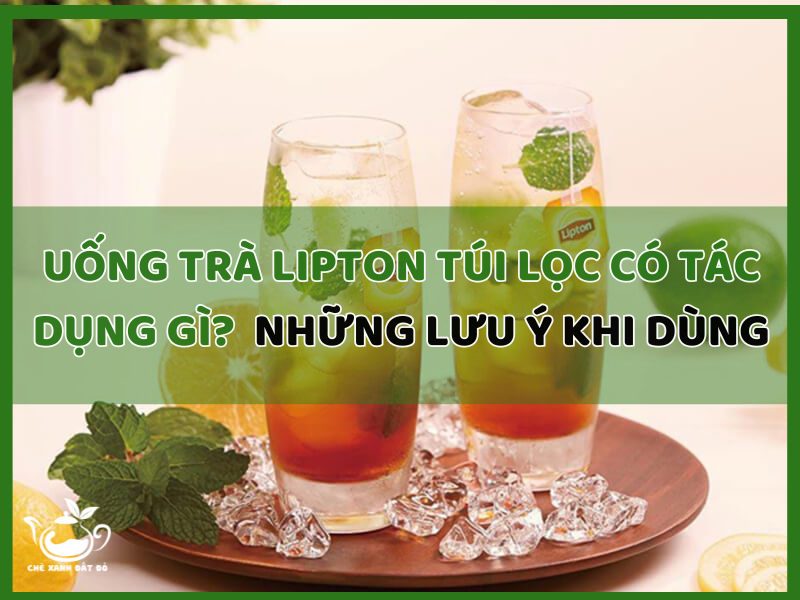 Uống trà Lipton túi lọc có tác dụng gì?